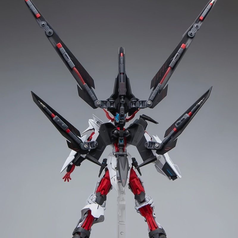 HG 1/144 Astray No-Name Astray - Gundam Model Mg review and price