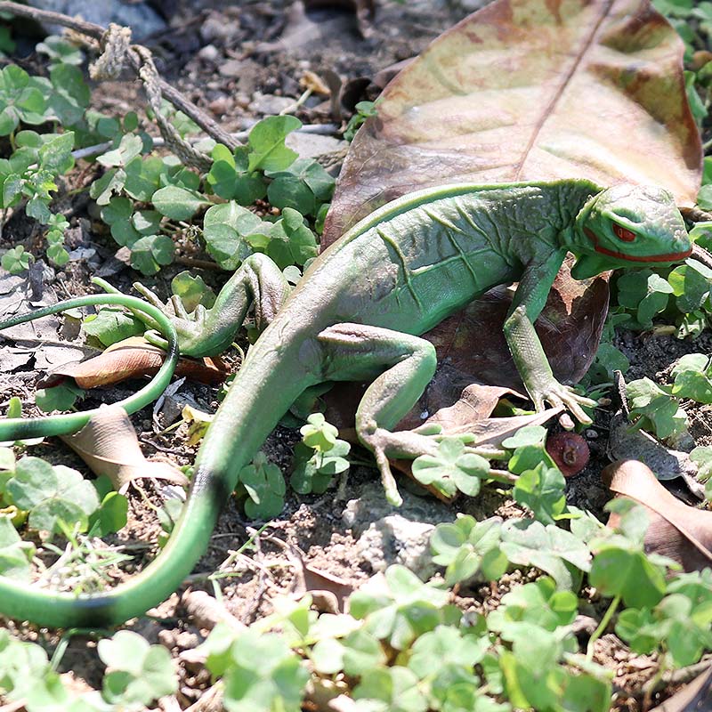 Oenux Farm Wild Model Simulati - Model Kit Lizard review and price