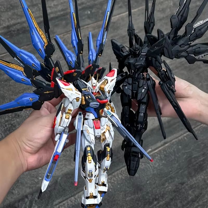 CHANGLONG Model 7701 MGEX ZGMF - Gundam Model Mg review and price