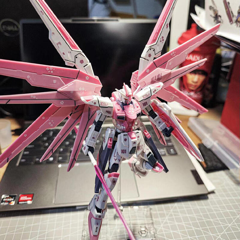 HG Gundam Assembled Model Kit  - Model Kit Hobby review and price
